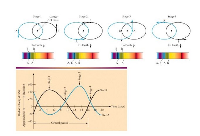 Spectroscopic binary radial velocity curves